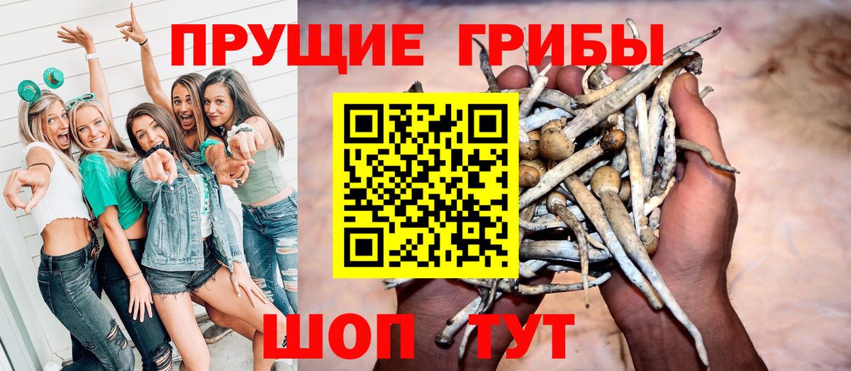 Псилоцибиновые грибы Cubensis  Псилоцибиновые грибы мухоморы  Норильск  Вход с VPN 