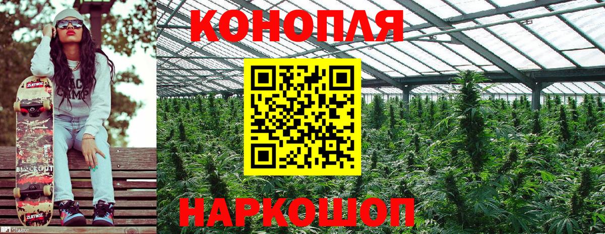 Канабис сатива Норильск